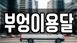 부엉이용달