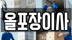 올포장이사