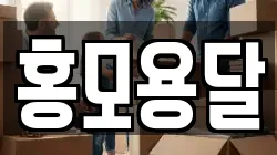 경기도 김포시 월곶면 이사,포장이사,반포장이사,원룸이사,사무실이사,용달이사,전국이사,보관이사
