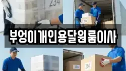 부엉이개인용달원룸이사
