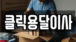 클릭용달이사