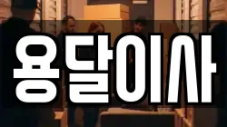용달이사