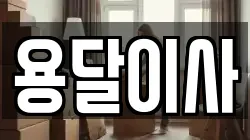 용달이사