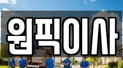 원픽이사