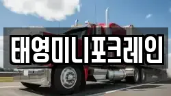 태영미니포크레인