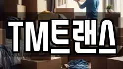 TM트랜스