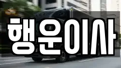 행운이사