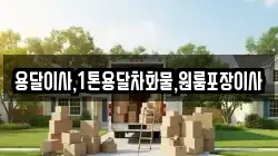 용달이사,1톤용달차화물,원룸포장이사