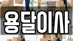 용달이사