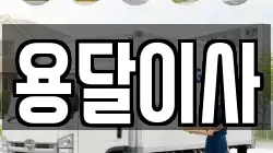 용달이사