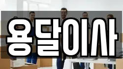 용달이사