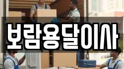 보람용달이사