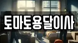 토마토용달이사