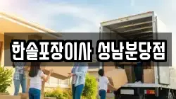 경기도 성남시 분당구 판교동 이사,포장이사,반포장이사,원룸이사,사무실이사,용달이사,전국이사,보관이사