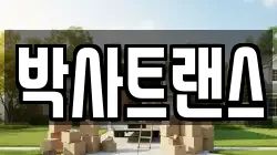 박사트랜스