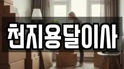 천지용달이사