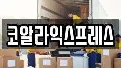 코알라익스프레스