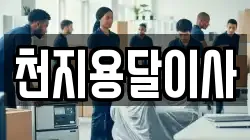 천지용달이사