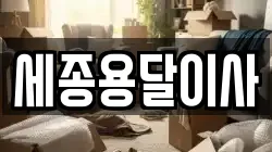 세종용달이사