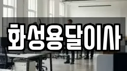 화성용달이사