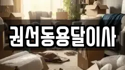 권선동용달이사