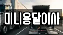 미니용달이사