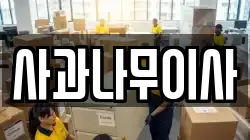 사과나무이사