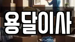 용달이사