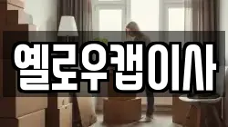 옐로우캡이사