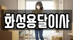 화성용달이사