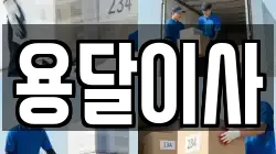 용달이사