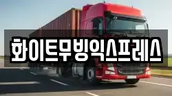 화이트무빙익스프레스