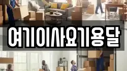 여기이사요기용달