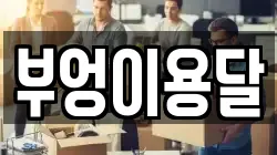 부엉이용달