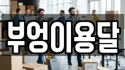 부엉이용달