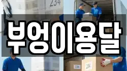 부엉이용달
