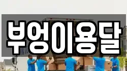 부엉이용달