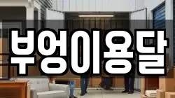 부엉이용달