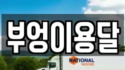 부엉이용달