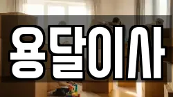 용달이사