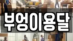 부엉이용달
