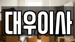 대우이사