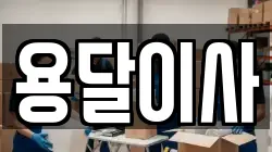 용달이사