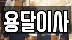 용달이사