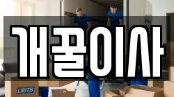 개꿀이사