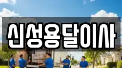 신성용달이사