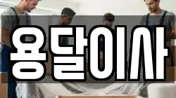 용달이사