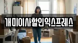 개미이사할인익스프레스
