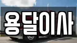 용달이사