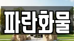 파란화물